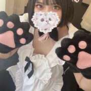 ヒメ日記 2025/04/30 23:33 投稿 なつな SCREEN(スクリーン)