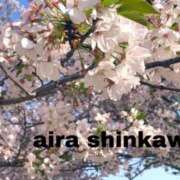 ヒメ日記 2025/04/25 22:26 投稿 新川 あいら 一夜妻　大阪ミナミ店