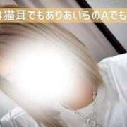 ヒメ日記 2025/06/19 13:24 投稿 新川 あいら 一夜妻　大阪ミナミ店