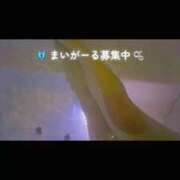 ヒメ日記 2025/09/08 00:44 投稿 新川 あいら 一夜妻　大阪ミナミ店