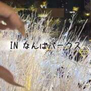 ヒメ日記 2025/12/14 12:14 投稿 新川 あいら 一夜妻　大阪ミナミ店