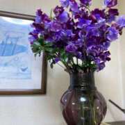 ヒメ日記 2025/03/12 12:03 投稿 福菜(ふくな)奥様 金沢の20代30代40代50代が集う人妻倶楽部