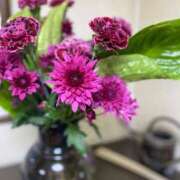 ヒメ日記 2025/04/12 04:33 投稿 福菜(ふくな)奥様 金沢の20代30代40代50代が集う人妻倶楽部