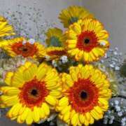 ヒメ日記 2025/04/19 14:03 投稿 福菜(ふくな)奥様 金沢の20代30代40代50代が集う人妻倶楽部