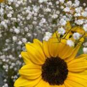 ヒメ日記 2025/06/04 08:03 投稿 福菜(ふくな)奥様 金沢の20代30代40代50代が集う人妻倶楽部