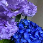 ヒメ日記 2025/06/29 12:06 投稿 福菜(ふくな)奥様 金沢の20代30代40代50代が集う人妻倶楽部