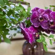 ヒメ日記 2025/07/25 10:12 投稿 福菜(ふくな)奥様 金沢の20代30代40代50代が集う人妻倶楽部