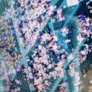 ヒメ日記 2025/08/17 09:30 投稿 福菜(ふくな)奥様 金沢の20代30代40代50代が集う人妻倶楽部