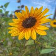 ヒメ日記 2025/08/21 07:45 投稿 福菜(ふくな)奥様 金沢の20代30代40代50代が集う人妻倶楽部