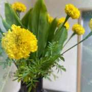 ヒメ日記 2025/08/24 14:39 投稿 福菜(ふくな)奥様 金沢の20代30代40代50代が集う人妻倶楽部