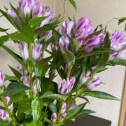 ヒメ日記 2025/08/30 12:00 投稿 福菜(ふくな)奥様 金沢の20代30代40代50代が集う人妻倶楽部