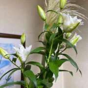 ヒメ日記 2025/09/08 10:45 投稿 福菜(ふくな)奥様 金沢の20代30代40代50代が集う人妻倶楽部