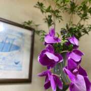 ヒメ日記 2025/09/18 23:42 投稿 福菜(ふくな)奥様 金沢の20代30代40代50代が集う人妻倶楽部