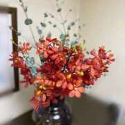 ヒメ日記 2025/11/01 13:48 投稿 福菜(ふくな)奥様 金沢の20代30代40代50代が集う人妻倶楽部