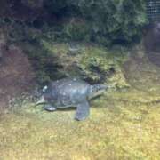 ヒメ日記 2025/11/06 14:03 投稿 福菜(ふくな)奥様 金沢の20代30代40代50代が集う人妻倶楽部