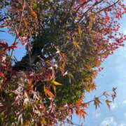 ヒメ日記 2025/11/07 15:34 投稿 福菜(ふくな)奥様 金沢の20代30代40代50代が集う人妻倶楽部