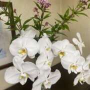 ヒメ日記 2025/11/09 13:03 投稿 福菜(ふくな)奥様 金沢の20代30代40代50代が集う人妻倶楽部