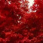 ヒメ日記 2025/11/10 12:03 投稿 福菜(ふくな)奥様 金沢の20代30代40代50代が集う人妻倶楽部