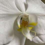 ヒメ日記 2025/11/11 19:57 投稿 福菜(ふくな)奥様 金沢の20代30代40代50代が集う人妻倶楽部