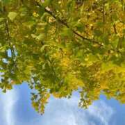 ヒメ日記 2025/11/12 15:48 投稿 福菜(ふくな)奥様 金沢の20代30代40代50代が集う人妻倶楽部