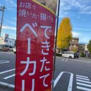 ヒメ日記 2025/11/12 16:04 投稿 福菜(ふくな)奥様 金沢の20代30代40代50代が集う人妻倶楽部