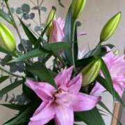 ヒメ日記 2025/11/14 13:18 投稿 福菜(ふくな)奥様 金沢の20代30代40代50代が集う人妻倶楽部