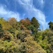 ヒメ日記 2025/11/16 11:48 投稿 福菜(ふくな)奥様 金沢の20代30代40代50代が集う人妻倶楽部