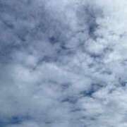 ヒメ日記 2025/11/20 07:48 投稿 福菜(ふくな)奥様 金沢の20代30代40代50代が集う人妻倶楽部