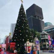 ヒメ日記 2025/11/26 07:03 投稿 福菜(ふくな)奥様 金沢の20代30代40代50代が集う人妻倶楽部