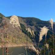 ヒメ日記 2025/11/29 13:33 投稿 福菜(ふくな)奥様 金沢の20代30代40代50代が集う人妻倶楽部