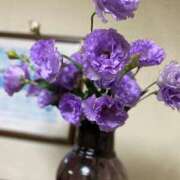 ヒメ日記 2025/12/13 07:03 投稿 福菜(ふくな)奥様 金沢の20代30代40代50代が集う人妻倶楽部