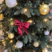 ヒメ日記 2025/12/19 07:33 投稿 福菜(ふくな)奥様 金沢の20代30代40代50代が集う人妻倶楽部