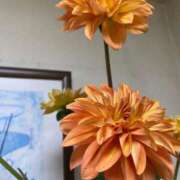 ヒメ日記 2025/12/29 01:18 投稿 福菜(ふくな)奥様 金沢の20代30代40代50代が集う人妻倶楽部