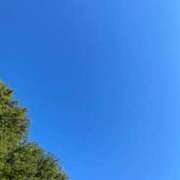 ヒメ日記 2025/12/29 15:15 投稿 福菜(ふくな)奥様 金沢の20代30代40代50代が集う人妻倶楽部