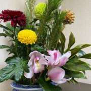 ヒメ日記 2025/12/31 12:33 投稿 福菜(ふくな)奥様 金沢の20代30代40代50代が集う人妻倶楽部