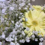 ヒメ日記 2026/02/22 15:48 投稿 福菜(ふくな)奥様 金沢の20代30代40代50代が集う人妻倶楽部