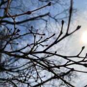 福菜(ふくな)奥様 春の🌸 金沢の20代30代40代50代が集う人妻倶楽部