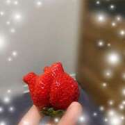 ヒメ日記 2026/04/03 00:03 投稿 福菜(ふくな)奥様 金沢の20代30代40代50代が集う人妻倶楽部