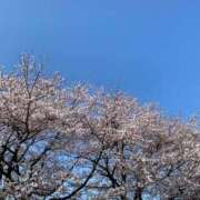 ヒメ日記 2026/04/03 09:18 投稿 福菜(ふくな)奥様 金沢の20代30代40代50代が集う人妻倶楽部