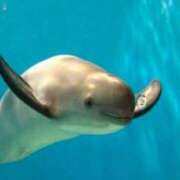 ヒメ日記 2025/02/27 14:26 投稿 まな 新橋ハートクリニック（シンデレラグループ）