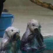 ヒメ日記 2025/03/10 15:20 投稿 まな 新橋ハートクリニック（シンデレラグループ）