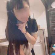 ヒメ日記 2024/12/14 18:04 投稿 ひなた アリスカフェ