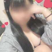 ヒメ日記 2025/01/24 18:21 投稿 ひなた アリスカフェ