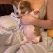 ヒメ日記 2025/07/26 23:26 投稿 可愛あき Claris Tokyo～クラリス東京～