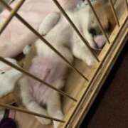 ヒメ日記 2025/07/29 23:36 投稿 可愛あき Claris Tokyo～クラリス東京～