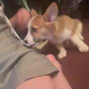 ヒメ日記 2025/08/15 04:56 投稿 可愛あき Claris Tokyo～クラリス東京～