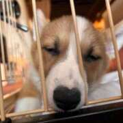 ヒメ日記 2025/08/19 17:46 投稿 可愛あき Claris Tokyo～クラリス東京～