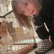 ヒメ日記 2025/11/06 20:56 投稿 可愛あき Claris Tokyo～クラリス東京～