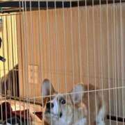 可愛あき 3時まで居るかも Claris Tokyo～クラリス東京～