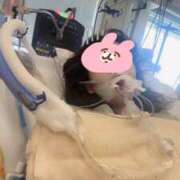 ヒメ日記 2026/07/16 19:16 投稿 可愛あき Claris Tokyo～クラリス東京～